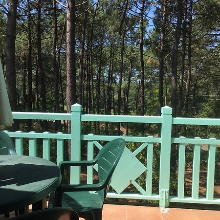 Apt T2 Calme Sur Golf, Piscine, Ocean 10 Min En Velo 拉卡诺 外观 照片